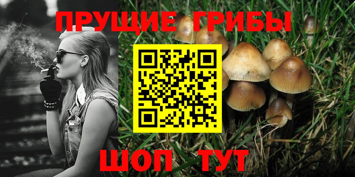 Галлюциногенные грибы Psilocybine cubensis  Галлюциногенные грибы GOLDEN TEACHER  Электросталь  Вход с VPN 