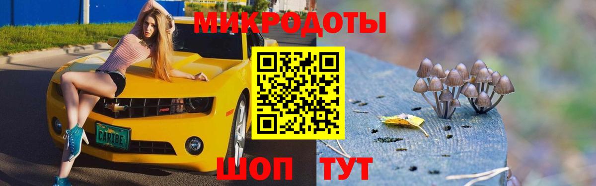 Галлюциногенные грибы Psilocybine cubensis Электросталь