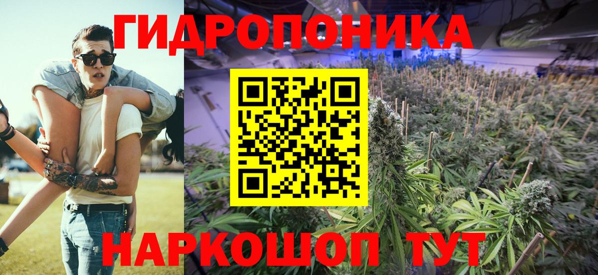 Электросталь  Конопля ГИДРОПОН  Вход с VPN  Шишки марихуана план 